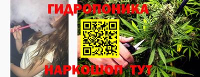 гидра Краснодар
