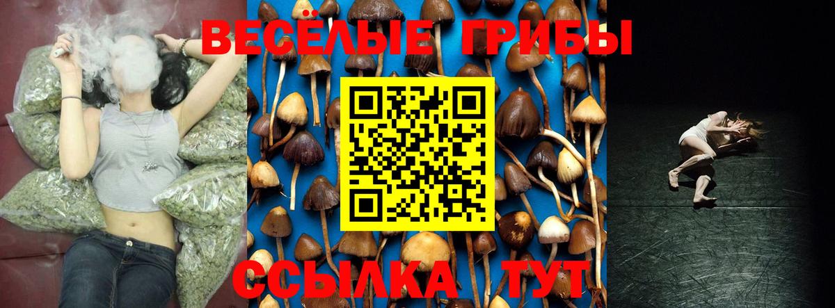 Псилоцибиновые грибы Magic Shrooms Каменск-Уральский