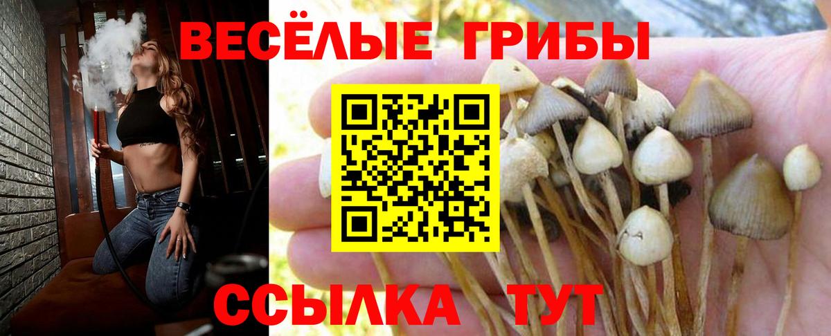 Каменск-Уральский  Псилоцибиновые грибы Psilocybe  Вход с VPN 